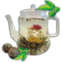 Рождение Венеры с ароматом жасмина